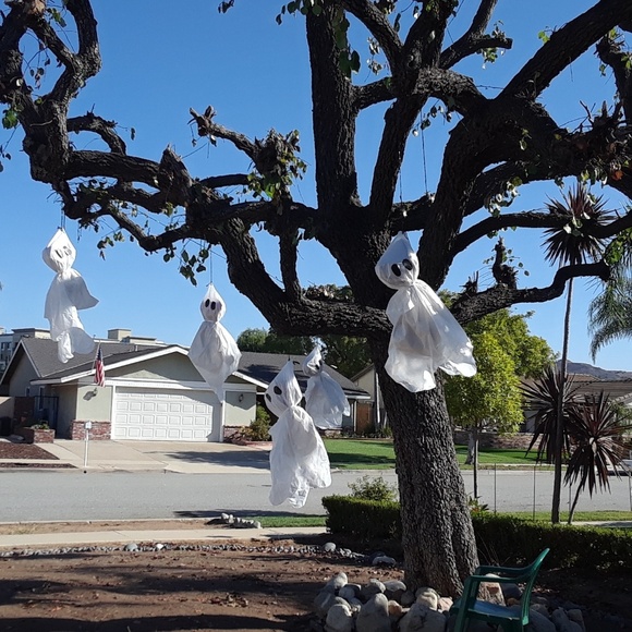 Boy, I remember that haircut like it was yesterday... - Picture 2 of 5